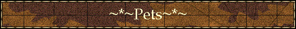 ~*~Pets~*~